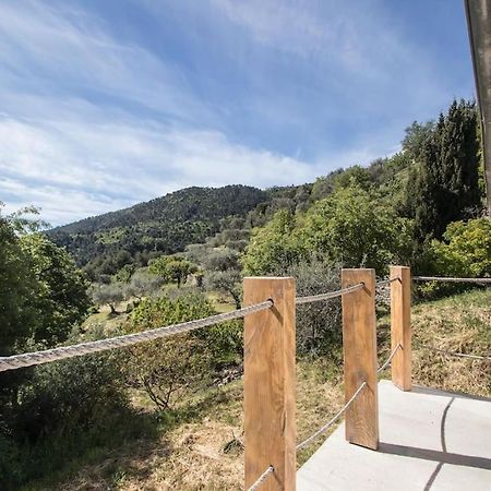 Bas De Villa Au Milieu Des Oliviers. Chateauneuf-Villevieille Exteriör bild